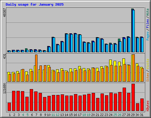 Daily usage for January 2025