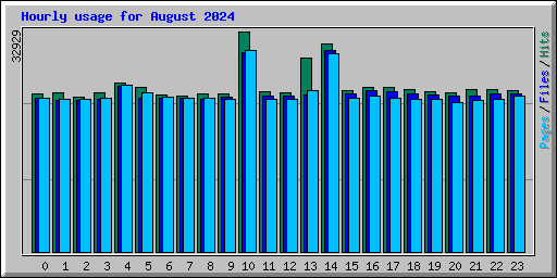 Hourly usage for August 2024