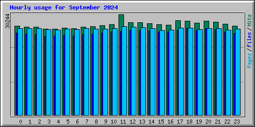 Hourly usage for September 2024