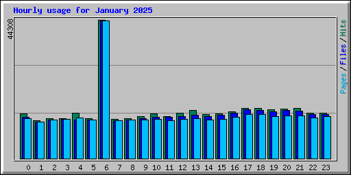 Hourly usage for January 2025