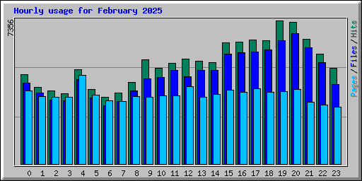 Hourly usage for February 2025