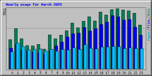 Hourly usage for March 2025