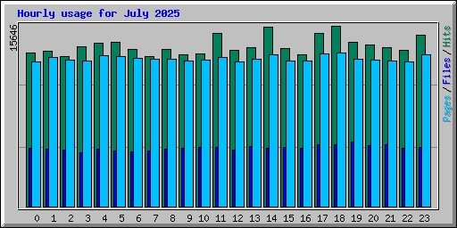 Hourly usage for July 2025