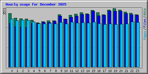 Hourly usage for December 2025