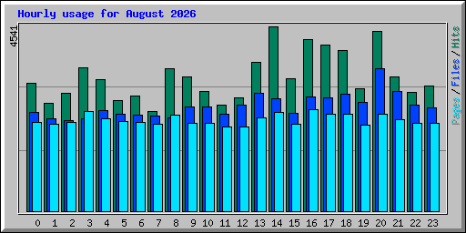 Hourly usage for August 2026